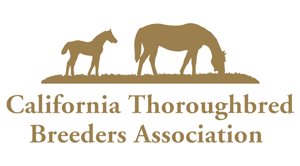 CTBA Stallion Season Auction