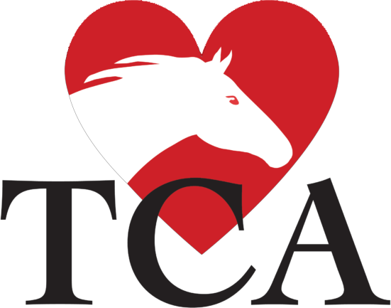 Spring Fling Stallion Season Auction